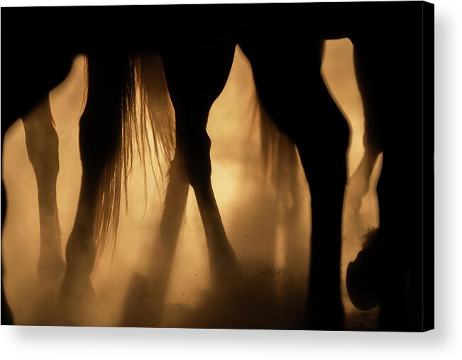 Horse Acrylic Print featuring the photograph Stretch Those Legs - Three Bars Ranch by Ryan Courson