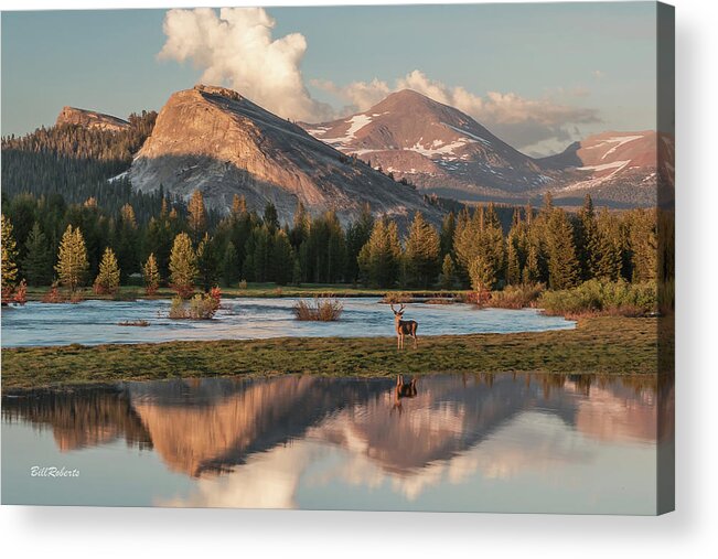 Lembert Dome Acrylic Print featuring the photograph Striking A Pose by Bill Roberts