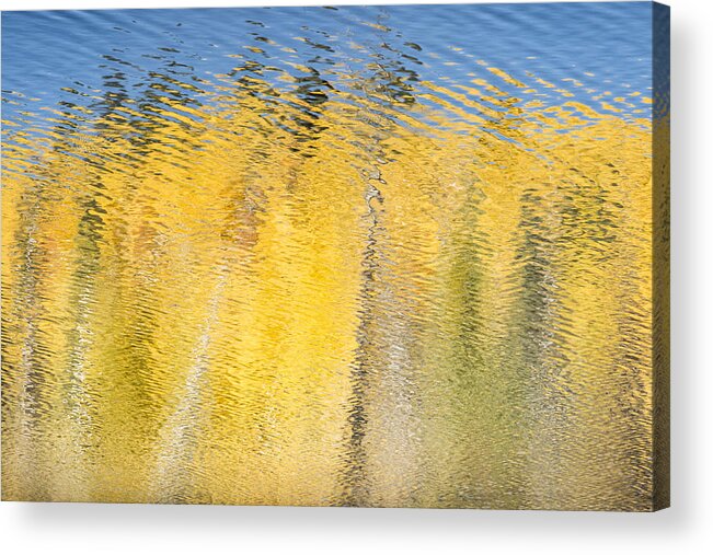 Abstract Acrylic Print featuring the photograph Striking Gold by Denise Bush