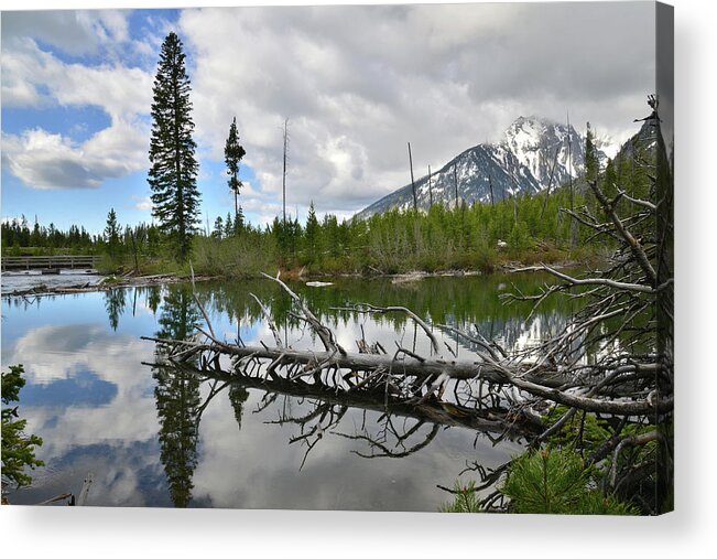 Grand Teton National Park Acrylic Print featuring the photograph String Lake in Grand Tetons by Ray Mathis