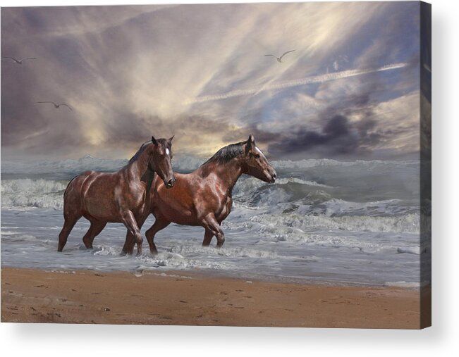 Horse Acrylic Print featuring the photograph Strolling on the Beach by Michele A Loftus