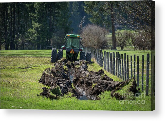 5d Acrylic Print featuring the photograph Stuck in the Muck Agriculture Art by Kaylyn Franks by Kaylyn Franks
