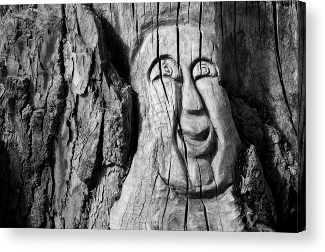 Tree Stump Acrylic Print featuring the photograph Stump face 3 by Stephen Holst