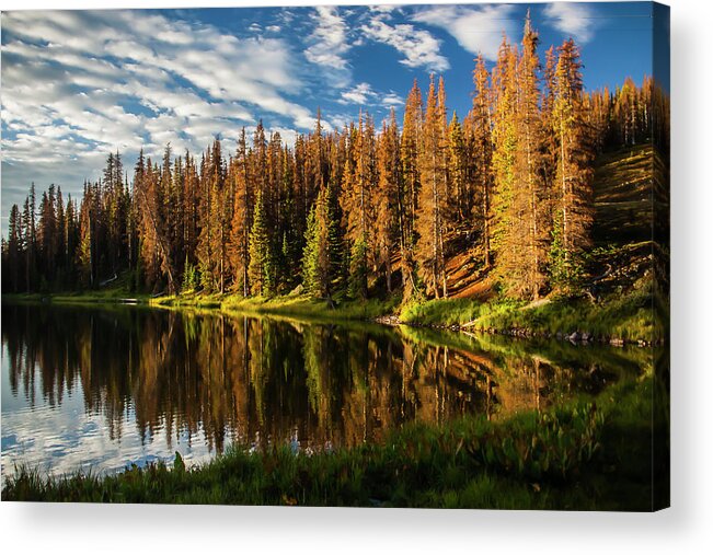 Colorado Mountain Trail Acrylic Print featuring the photograph Stunning Sunrise by Doug Scrima