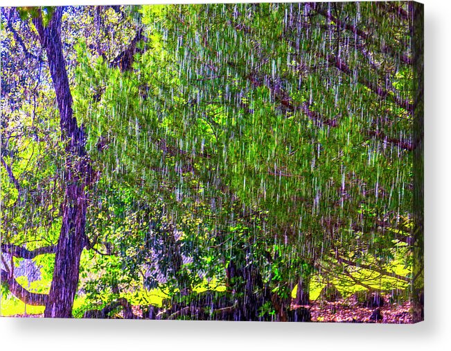 Downpour Acrylic Print featuring the photograph Sudden Downpour by Garry Gay