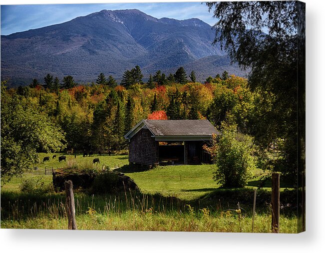 Barn Acrylic Print featuring the photograph Sugar Hill NH by Tricia Marchlik