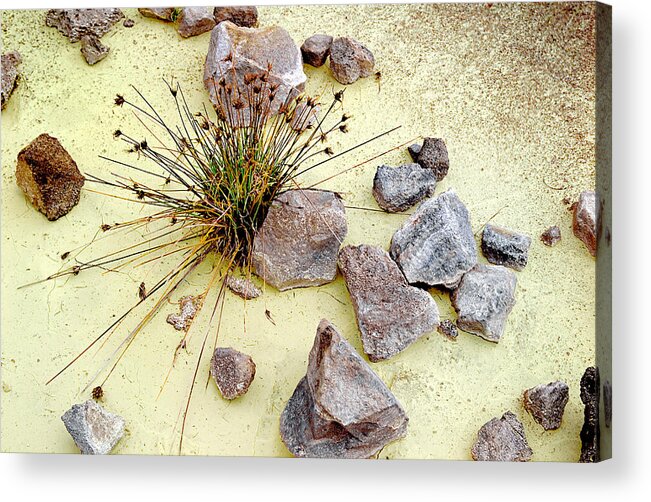 Kiluea Acrylic Print featuring the photograph Sulphur Pool Abstract Photo by Peter J Sucy