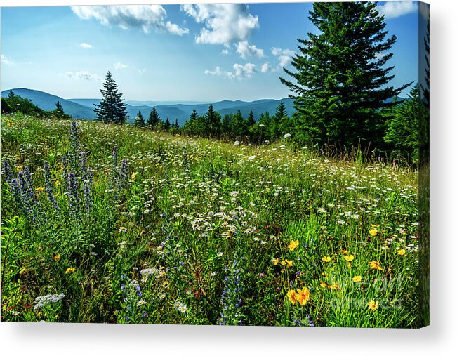 Summer Acrylic Print featuring the photograph Summer Flowers in the Highlands by Thomas R Fletcher