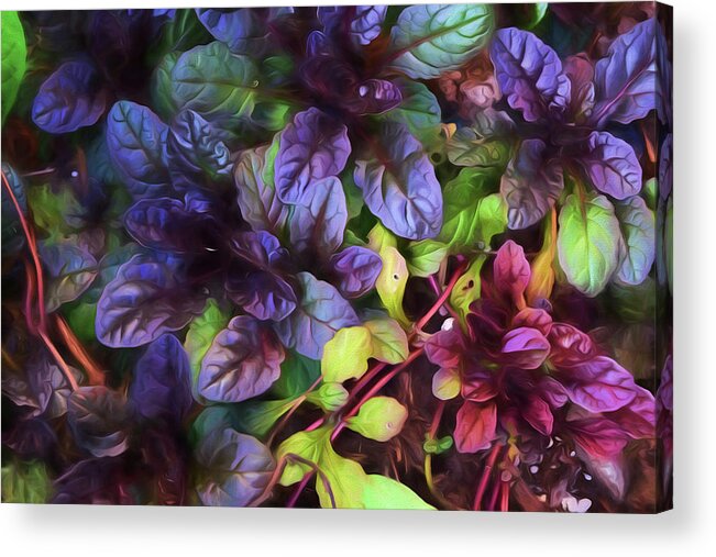Painterly Acrylic Print featuring the photograph Summer Garden 5 by Bonnie Bruno