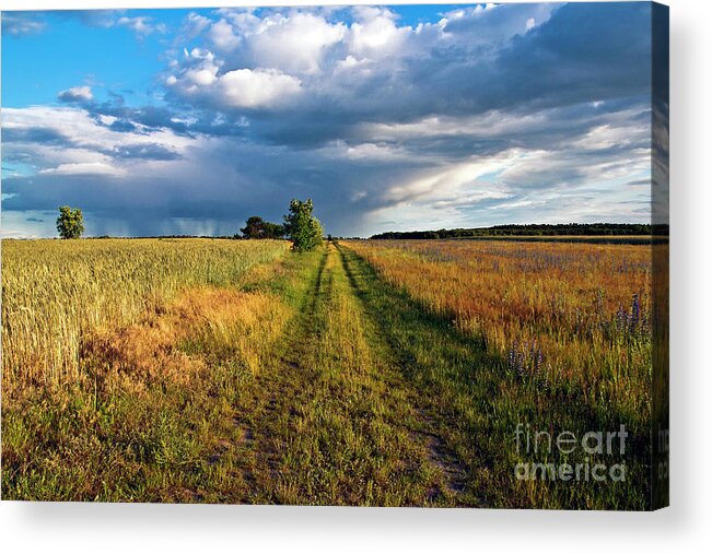 Summer Sound Acrylic Print featuring the photograph Summer Sound by Silva Wischeropp