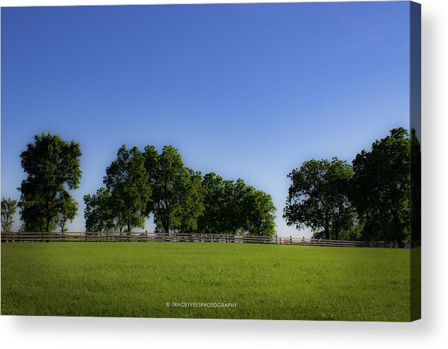 Landscape Acrylic Print featuring the photograph Summer Trees by Tracey Rees