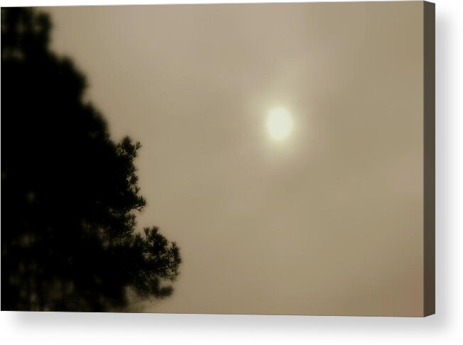 Fog Acrylic Print featuring the photograph Sun Battles Fog by Kathy Barney