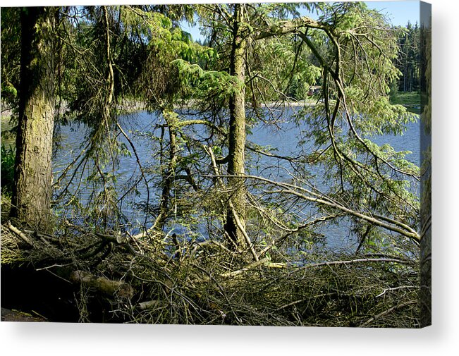 Beecraigs Acrylic Print featuring the photograph Sun of the loch afternoon. by Elena Perelman
