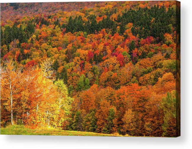 Middlebury Vermont Acrylic Print featuring the photograph Sun peeking through by Jeff Folger
