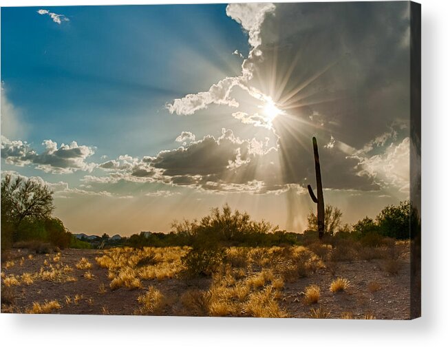 Tucson Acrylic Print featuring the photograph Sun Rays in Tucson by Dan McManus