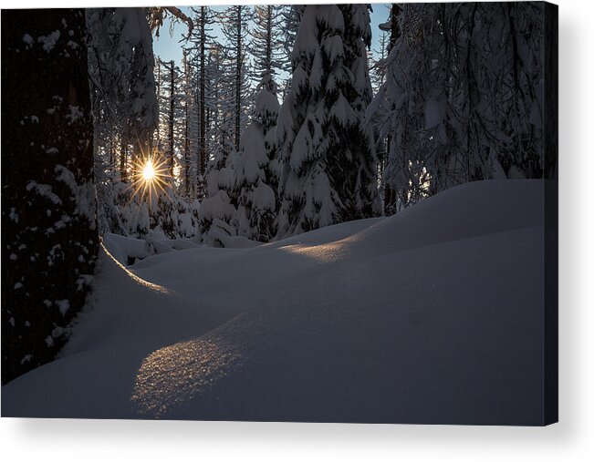 Sunrays Acrylic Print featuring the photograph Sunburst in winter fairytale forest Harz by Andreas Levi