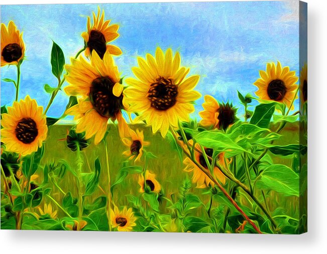 Best Acrylic Print featuring the painting Sunflower Along the Road by Mitchell R Grosky