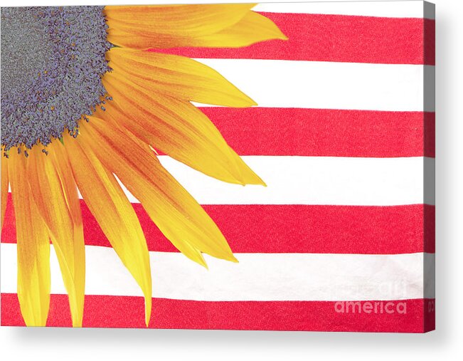 Sunflower Flag Acrylic Print featuring the photograph Sunflower Flag by James BO Insogna