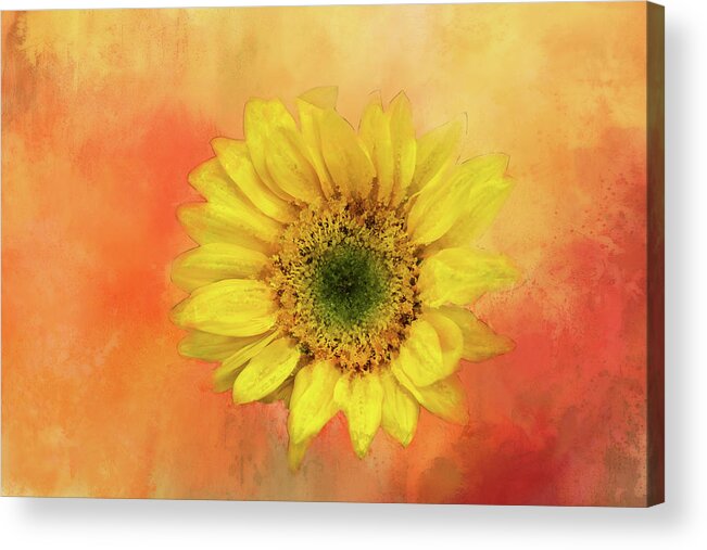 Photography Acrylic Print featuring the digital art Sunflower Goodness by Terry Davis