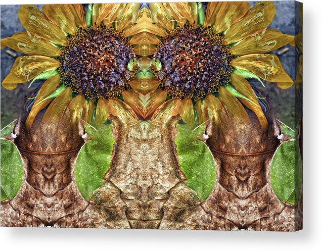 Split Personality Acrylic Print featuring the digital art Sunflower Guards by Becky Titus