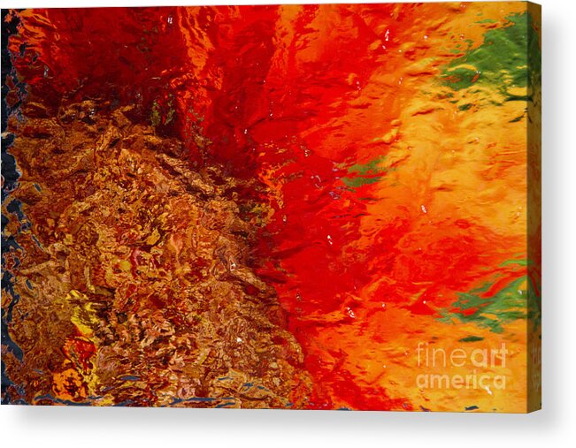 Sunflower Acrylic Print featuring the photograph Sunflower Impressions by Jeanette French