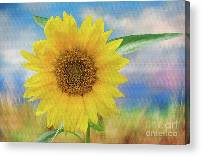 Sunflower Acrylic Print featuring the photograph Sunflower Surprise by Bonnie Barry