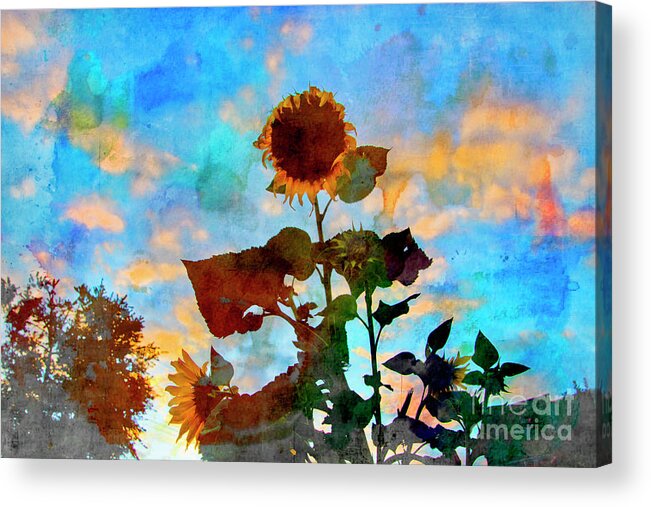 Neighborhood Acrylic Print featuring the photograph Sunflower Watercolor by Al Bourassa