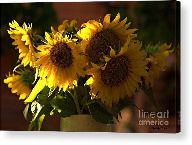 Sunflowers Acrylic Print featuring the photograph Sunflowers in a vase by Amalia Suruceanu