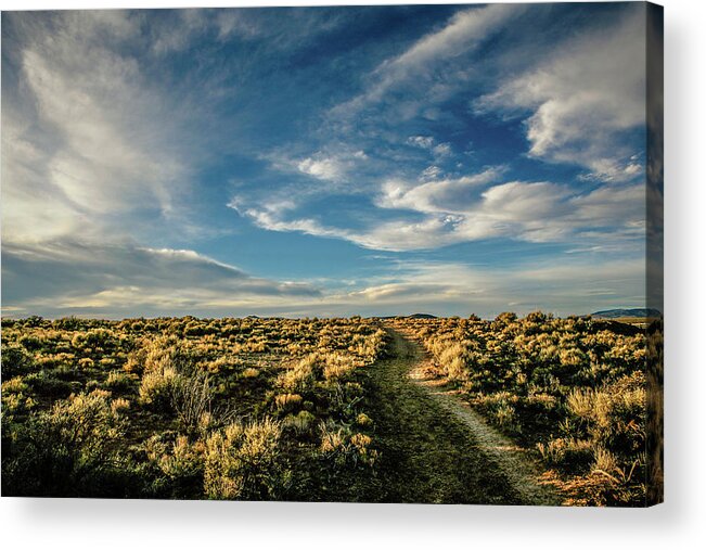 Landscape Acrylic Print featuring the photograph Sunlight for Photographers by Marilyn Hunt