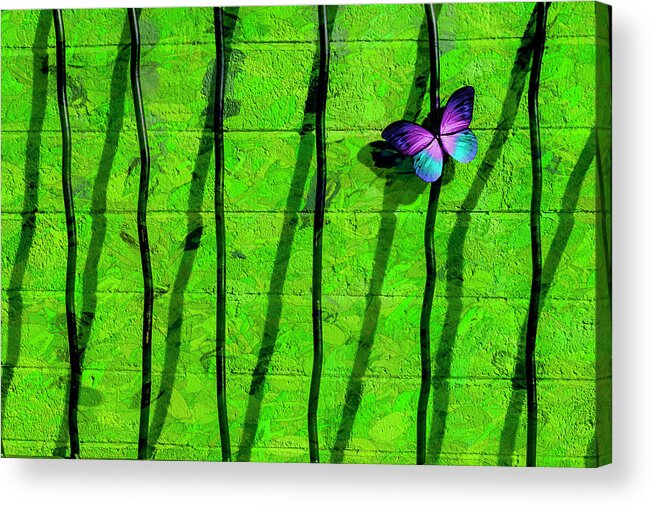 Sunning Acrylic Print featuring the photograph Sunning by Paul Wear