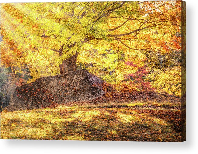 Salem Massachusetts Acrylic Print featuring the photograph Sunny Afternoon on Autumn Hill by Jeff Folger