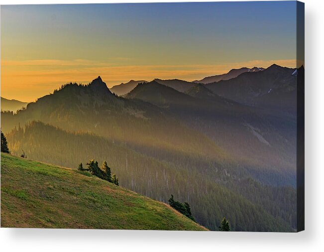 Olympic National Forest Acrylic Print featuring the photograph Sunrise at Obstruction Peak by Briand Sanderson