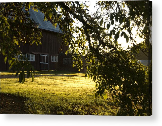 Barn Acrylic Print featuring the photograph Sunrise At The Barn by Sara Stevenson