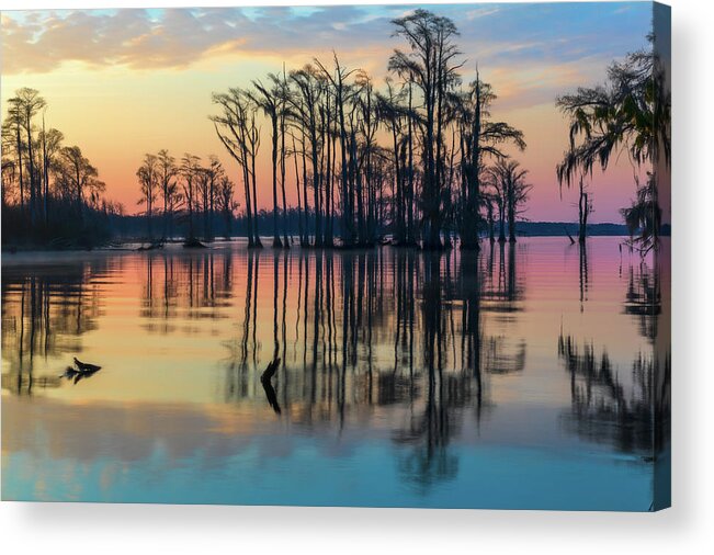 Photograph Acrylic Print featuring the photograph Sunrise, Bald Cypress of NC by Cindy Lark Hartman