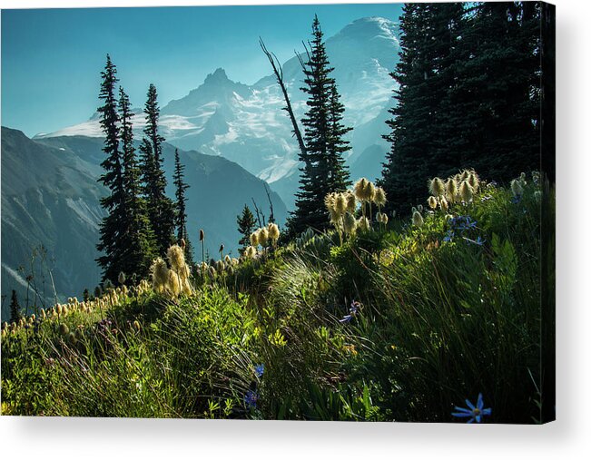 Mt Rainier Acrylic Print featuring the photograph Sunrise Heaven by Doug Scrima
