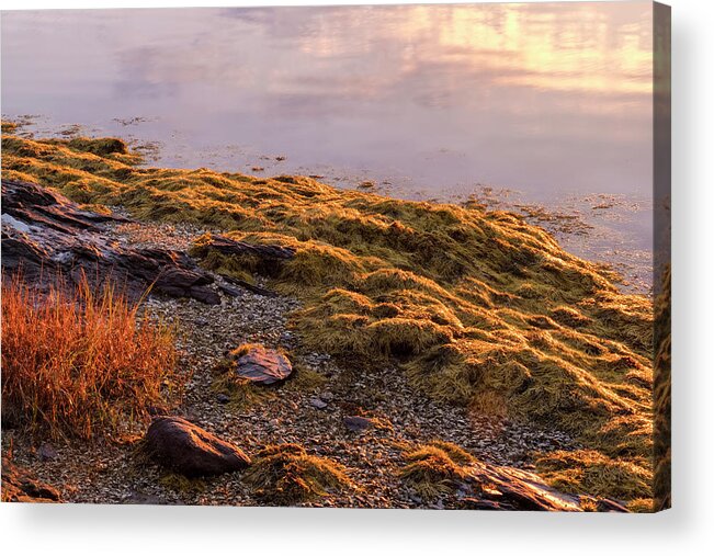 Maine Lobster Boats Acrylic Print featuring the photograph Sunrise Light by Tom Singleton