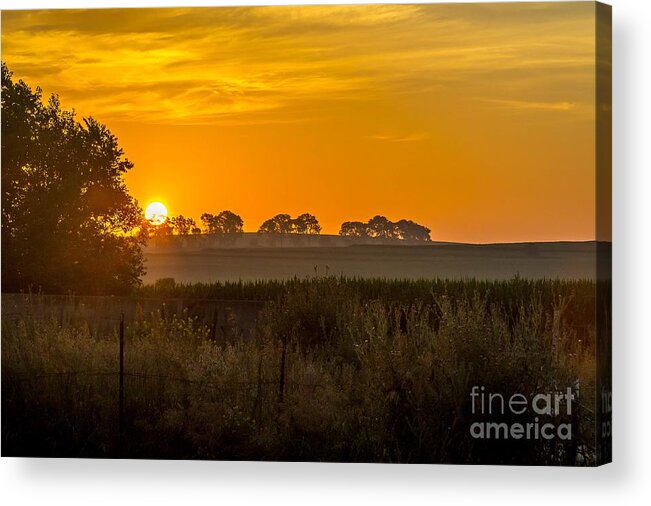 Sunrise Acrylic Print featuring the photograph Sunrise on the Farm by Lisa Knauff