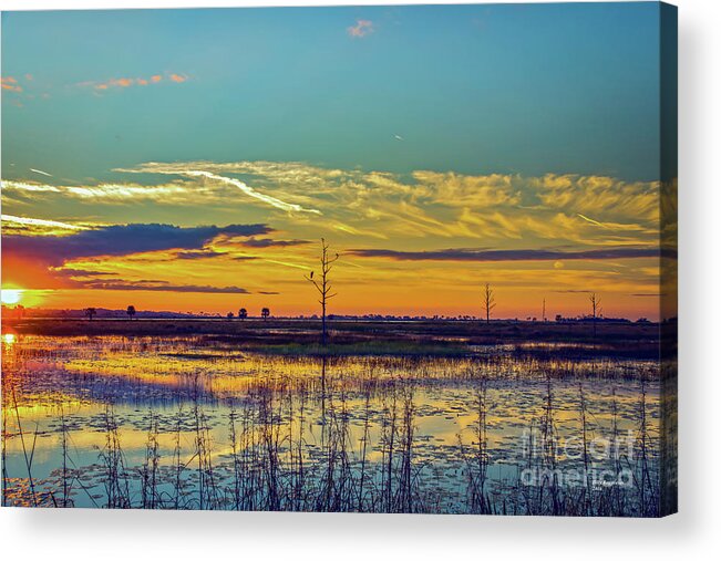 Bird Acrylic Print featuring the photograph Sunrise Over a Saint Marks National Wildlife Refuge Lagoon by DB Hayes
