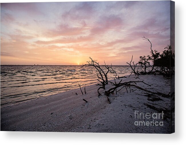 Travel Acrylic Print featuring the photograph Sunrise Over San Carlos Bay by Scott Pellegrin