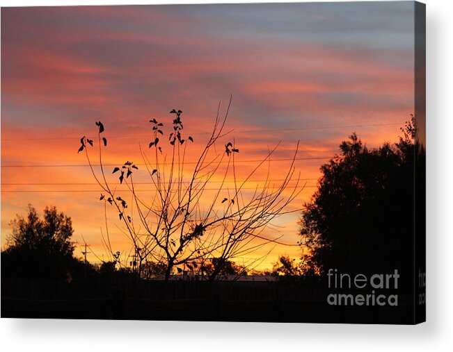 Sunrise Acrylic Print featuring the photograph Sunrise by Sheri Simmons