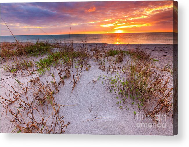 Manisota Beach Acrylic Print featuring the photograph Sunset at Manisota Beach by Ben Graham