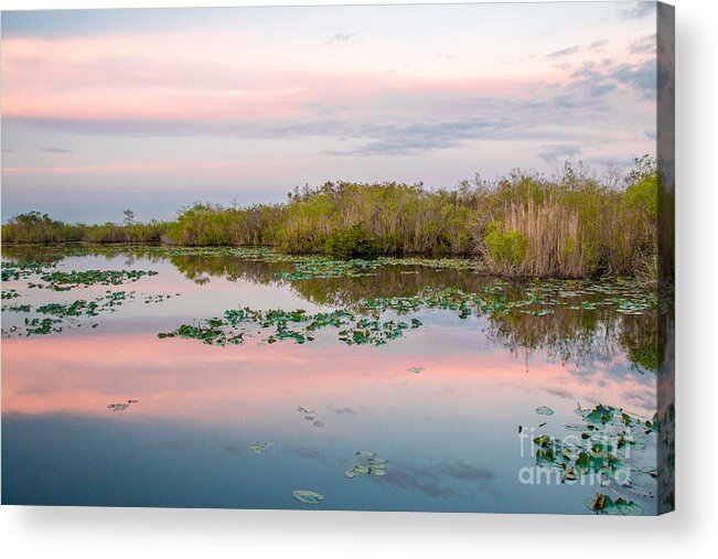 Aquatic Acrylic Print featuring the photograph Sunset at the Everglades National Park II by Amanda Mohler