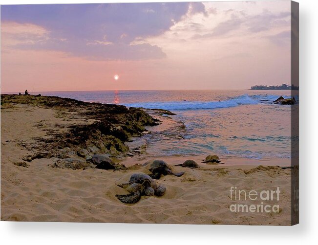 Makaha Acrylic Print featuring the photograph Sunset at Turtle Cove by Craig Wood