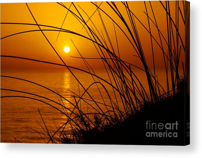 Backdrop Acrylic Print featuring the photograph Sunset by Carlos Caetano
