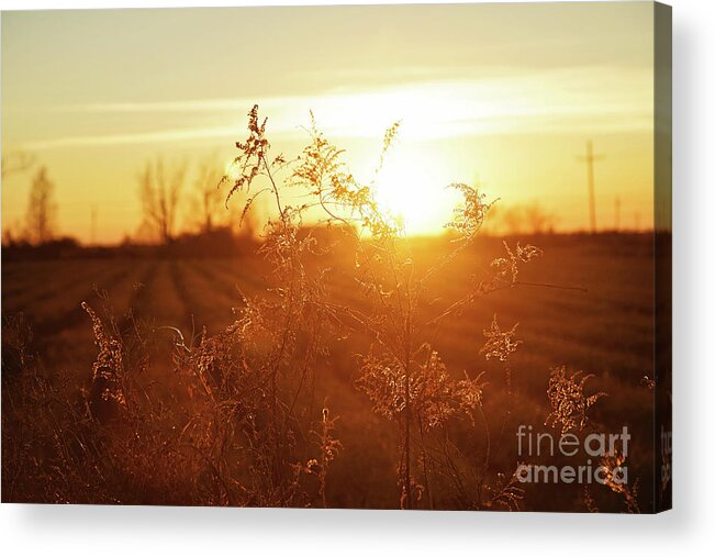 Sunset Acrylic Print featuring the photograph Sunset Glow by Scott Pellegrin