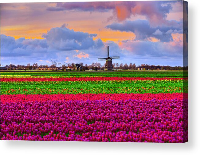 Windmill Acrylic Print featuring the photograph Sunset Of Colors by Midori Chan
