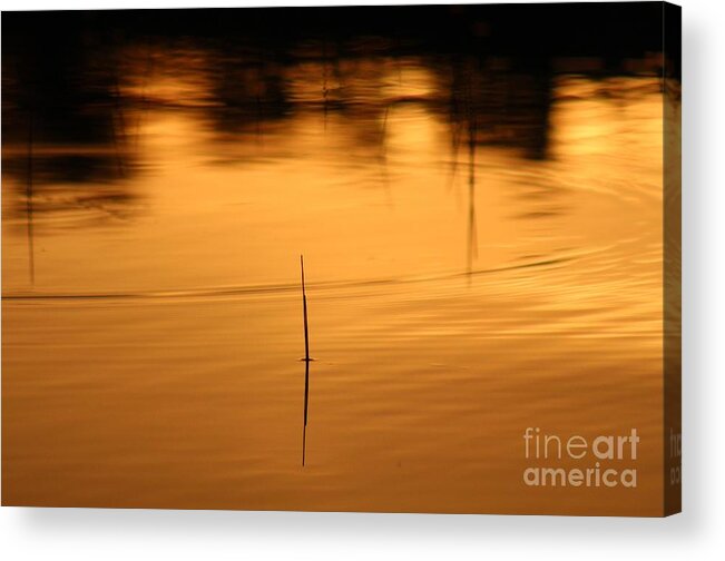 Sunset Acrylic Print featuring the photograph Sunset on the water 2 by Deena Withycombe