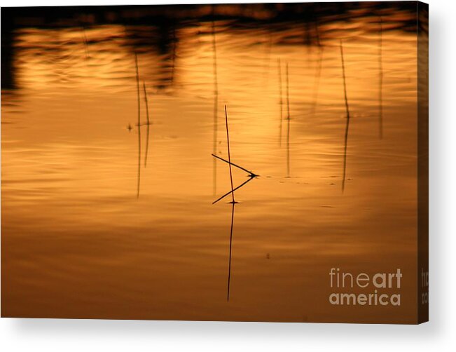Sunset Acrylic Print featuring the photograph Sunset on the water by Deena Withycombe