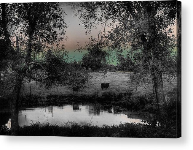 Cows Acrylic Print featuring the photograph Sunset Over the Pond by Karen McKenzie McAdoo