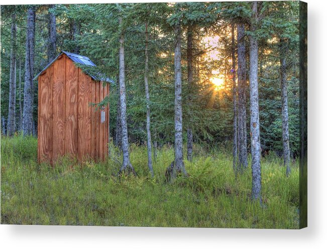 Sunset Acrylic Print featuring the photograph Sunset Through Spruce by Michele Cornelius
